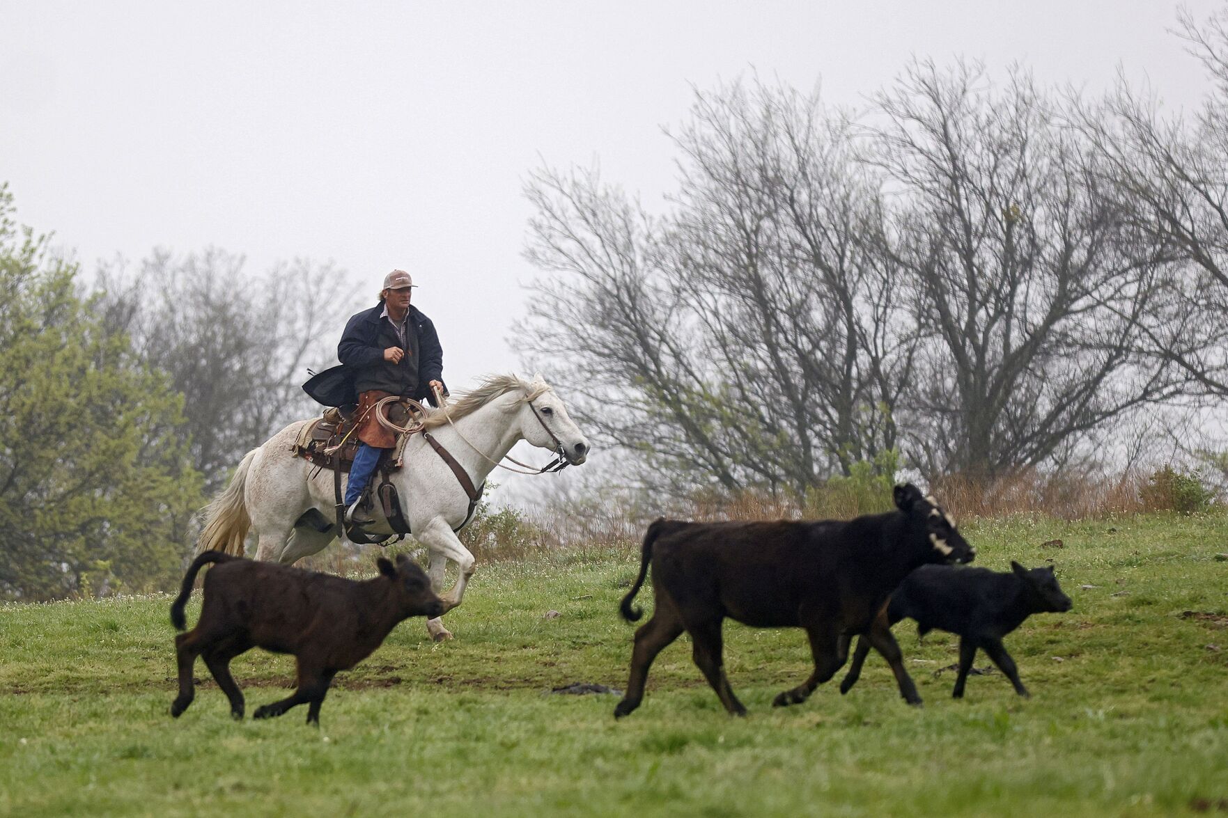 McFarlin Ranch